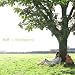 <STRONG>a</STRONG> <STRONG>Little</STRONG> <STRONG>Happiness</STRONG>