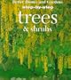 Step-By-Step Trees and Shrubs (Step-By-Step Successful Gardening)