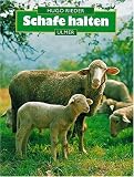 Schafe halten