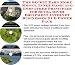Book The Secret Earn More Money, Inner Game and Godfather Principles for Scuba Diver Equipment Internet Businesses 3 CD Power Pack