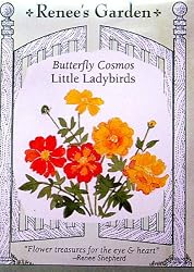 Cosmos Little Ladybird Seeds