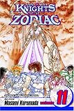 Knights of the Zodiac (Saint Seiya), Vol. 11