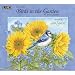 2011 Birds In The Garden Calendar