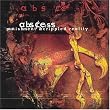 Punishment & Crippled Reality (US Import)