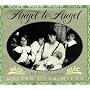 Angel to Angel: A Mother's Gift of Love