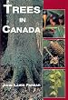 Trees In Canada