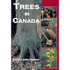 Trees In Canada