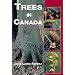 Trees In Canada