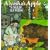 Alyosha's Apple: A Tale of Old Russia
