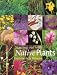 Starting Out with Native Plants