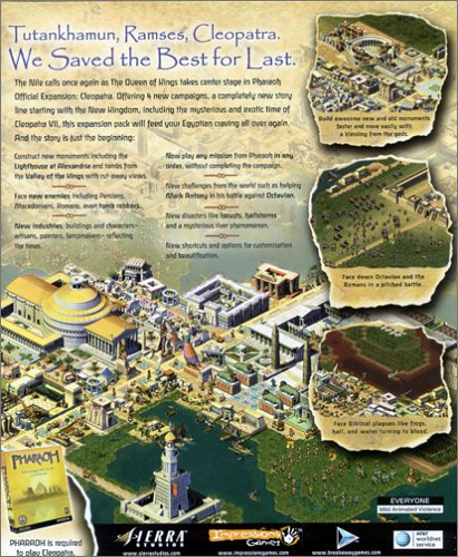 large image