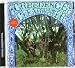Creedence Clearwater Revival