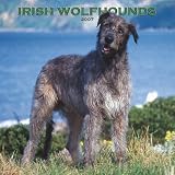 Irish Wolfhounds 2007 Calendar