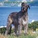 Irish Wolfhounds 2007 Calendar