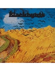 Blackbyrds/Flying Start