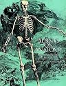 Albinus on Anatomy