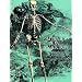 Albinus on Anatomy
