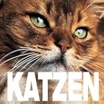 Katzen