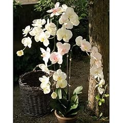 Kunstblume Premium Orchidee Phalaenopsis getopft creme-rosa 115cm XL