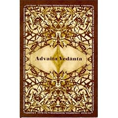 Advaita Vedanta: A Philosophical Reconstruction (Studies in the Buddhist Traditions)