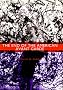 The End of the American Avant Garde
