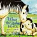 What the Baby Hears