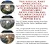 Book The Special Earn More Money, Accounting & Finance and eCommerce for Homeopathic Supplements And Vitamins Internet Businesses 3 CD Power Pack