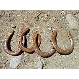 Used Horseshoes