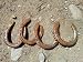 Used Horseshoes