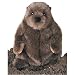 Plush Chuckwood Groundhog 11"