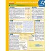Lerntafel: Anorganische Chemie II im �berblick (Lerntafeln Chemie)