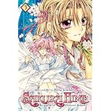 Sakura Hime: The Legend of Princess Sakura, Vol. 3