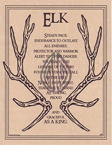 Elk Prayer Poster