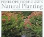 Penelope Hobhouse's Natural Planting