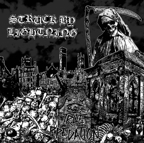 Download Struck By Lightning