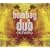 Bombay Dub Orchestra