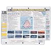 Davis Instruments Weather Forecasting Quick Reference Card