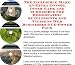 Book The Incredible Make An Extra Income, Inner Game and eCommerce for Homeopathic Supplements And Vitamins Web Businesses 3 CD Power Pack