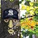 MLB New York Yankees Forest Face