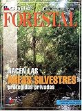 Chile Forestal