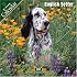 English Setter 2007 Wall Calendar