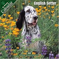 English Setter 2007 Wall Calendar