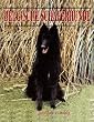 Belgische Sch�ferhunde - Heute