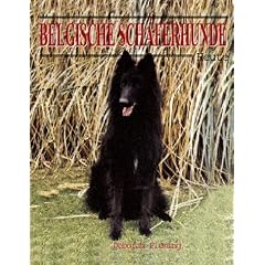 Belgische Sch�ferhunde - Heute