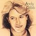 I Just want to be your everything By Andy Gibbs
