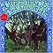 Creedence Clearwater Revival and John Fogerty
