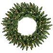 24" Pre-Lit Camdon Fir Artificial Christmas Wreath - Multi Lights