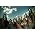 Thumbnail image of Slipknot