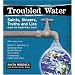 Troubled Water: Saints, Sinners, Truth and Lies About the Global Water Crisis