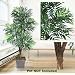 One 6' Phoenix Palm Artificial Tree with 5 Heads, with No Pot,